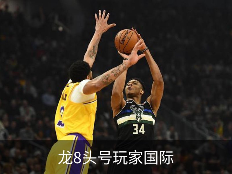 龙8头号玩家国际简介